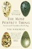 Birkhead: The Most Perfect Thing -  Inside (and Outside) a Bird’s Egg