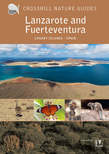 Hilbers, Woutersen, Swinkels: Lanzarote and Fuerteventura - Canary Islands/Spain